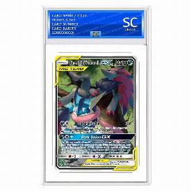Greninja&Zoroark GX