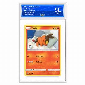 Tepig