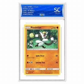 Passimian
