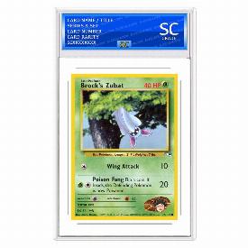 Brock's Zubat