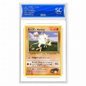 Brock's Mankey