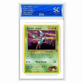 Brock's Zubat