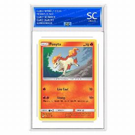 Ponyta (Rev)