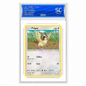 Pidgey (Rev)