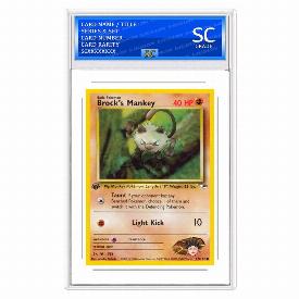 Brock's Mankey