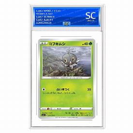 Scatterbug