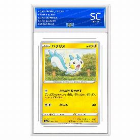 Pachirisu
