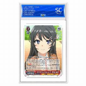 Mai Sakurajima, Irreplaceable Existence