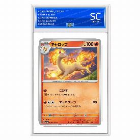 Rapidash (Rev)