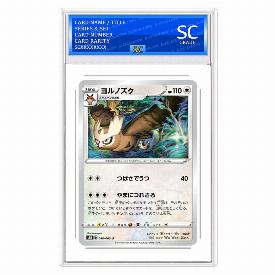 Noctowl