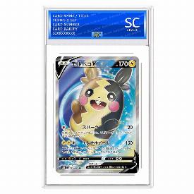 Morpeko V