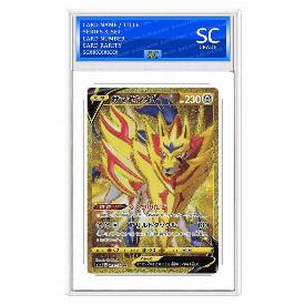 Zamazenta V