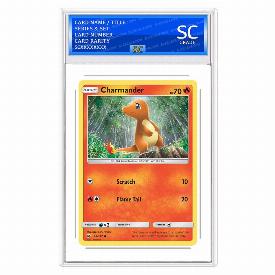 Charmander (Rev)