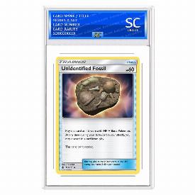 Unidentified Fossil (Rev)