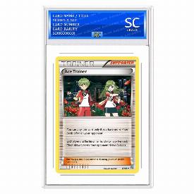 Ace Trainer