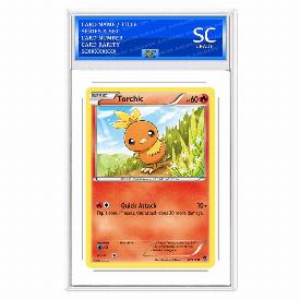Torchic