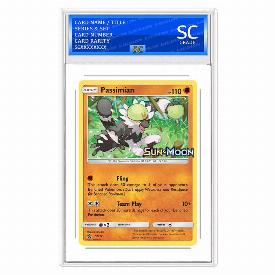 Passimian