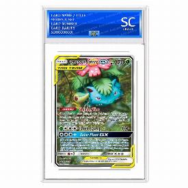 Venusaur & Snivy GX